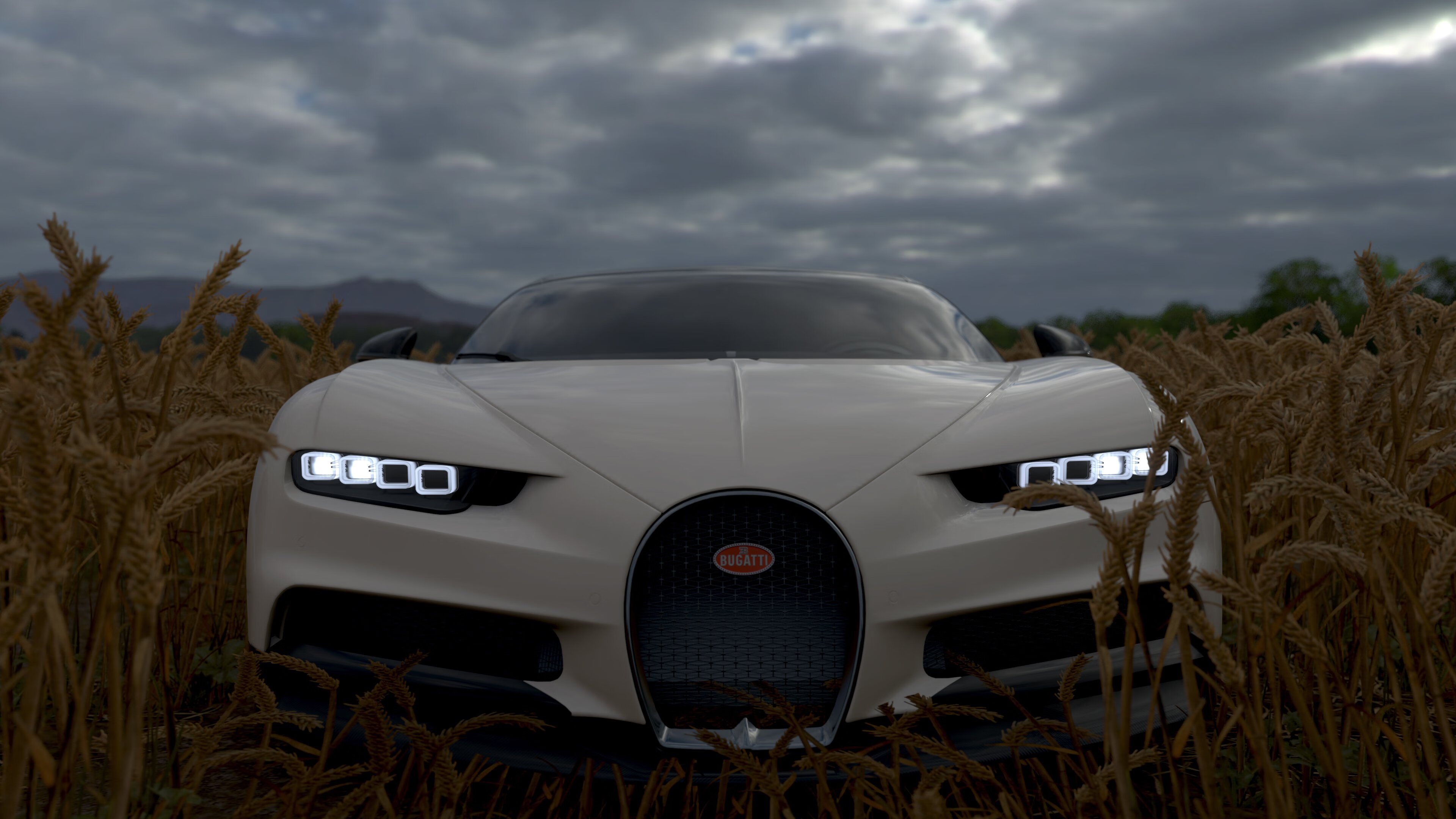 开云官方-_突破自我:运动员凭借坚持赢得荣誉_,运动员取得优异成绩