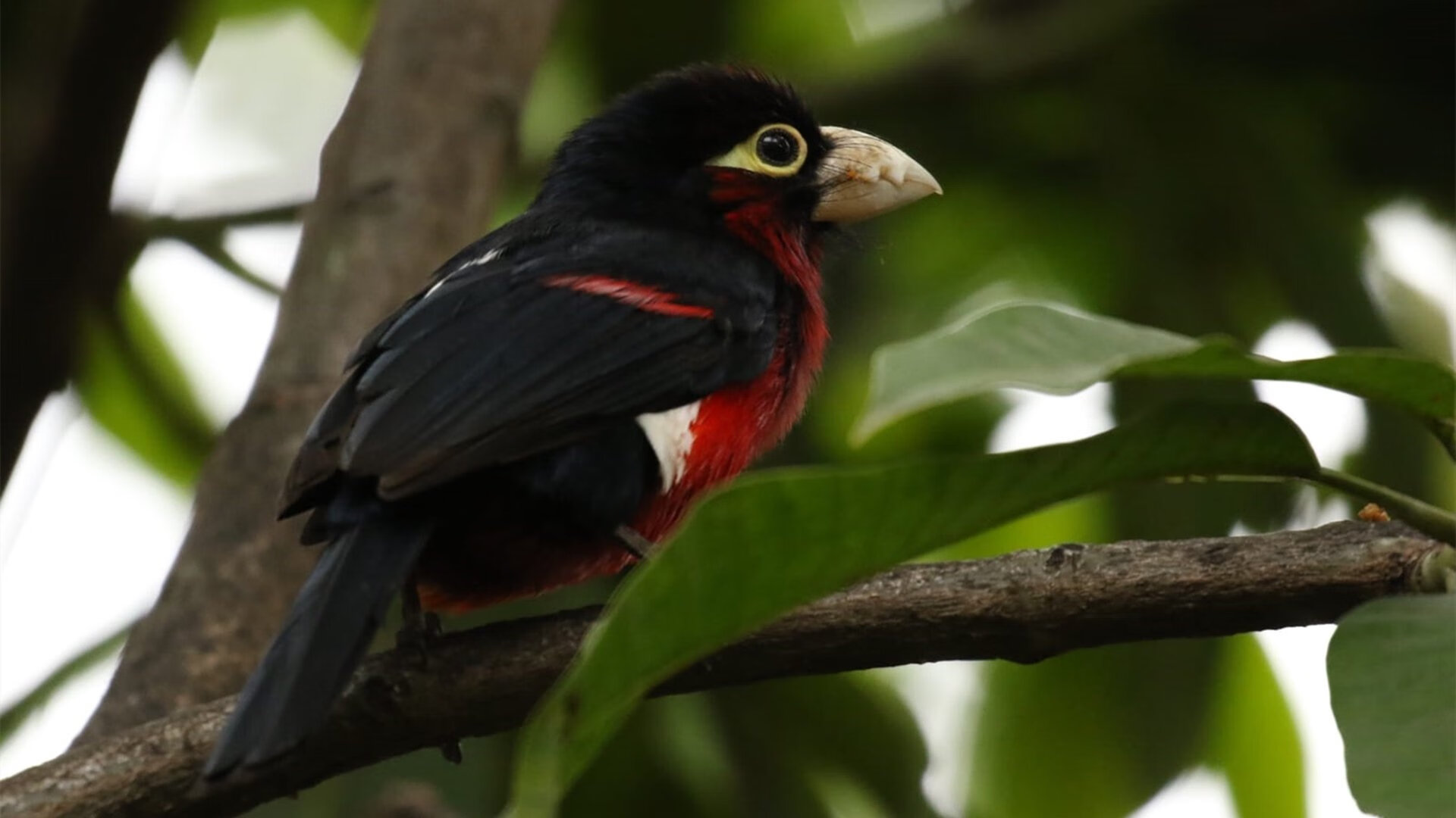 开云体育-“逆天逆转！最后两局实现惊天逆袭，比赛瞬间燃爆”，最强逆转