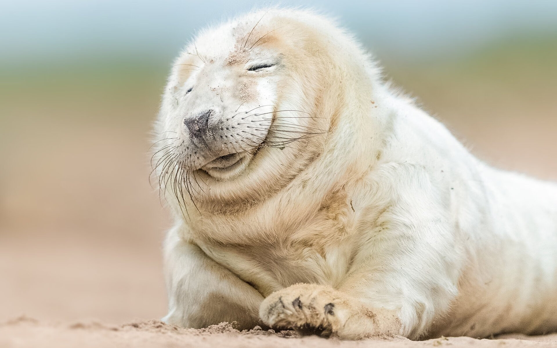 kaiyun体育综合-法甲胜负难料,比分1-1,关键数据:射门转化率提升,比赛紧张刺激