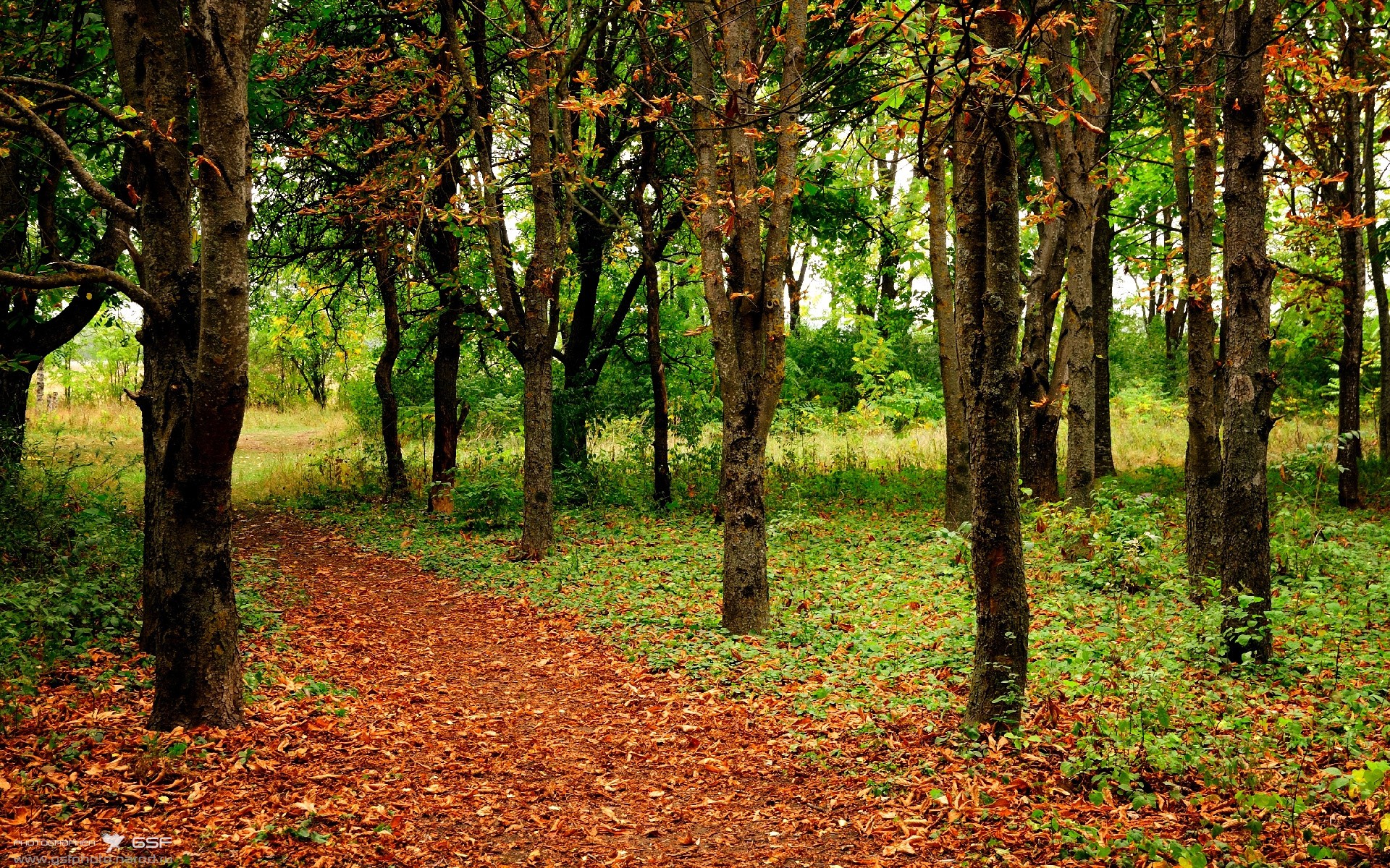 开云·体育官网-体育界的亮点：国际足球赛事精彩集锦，国际重要足球赛事