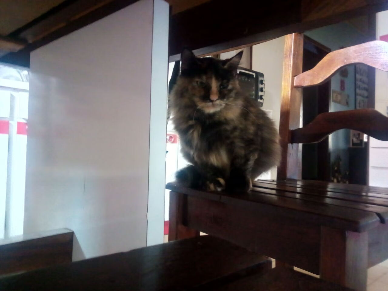 开云官方网页登录-曼城客场大胜,卫冕冠军气势如虹,曼城客场连胜