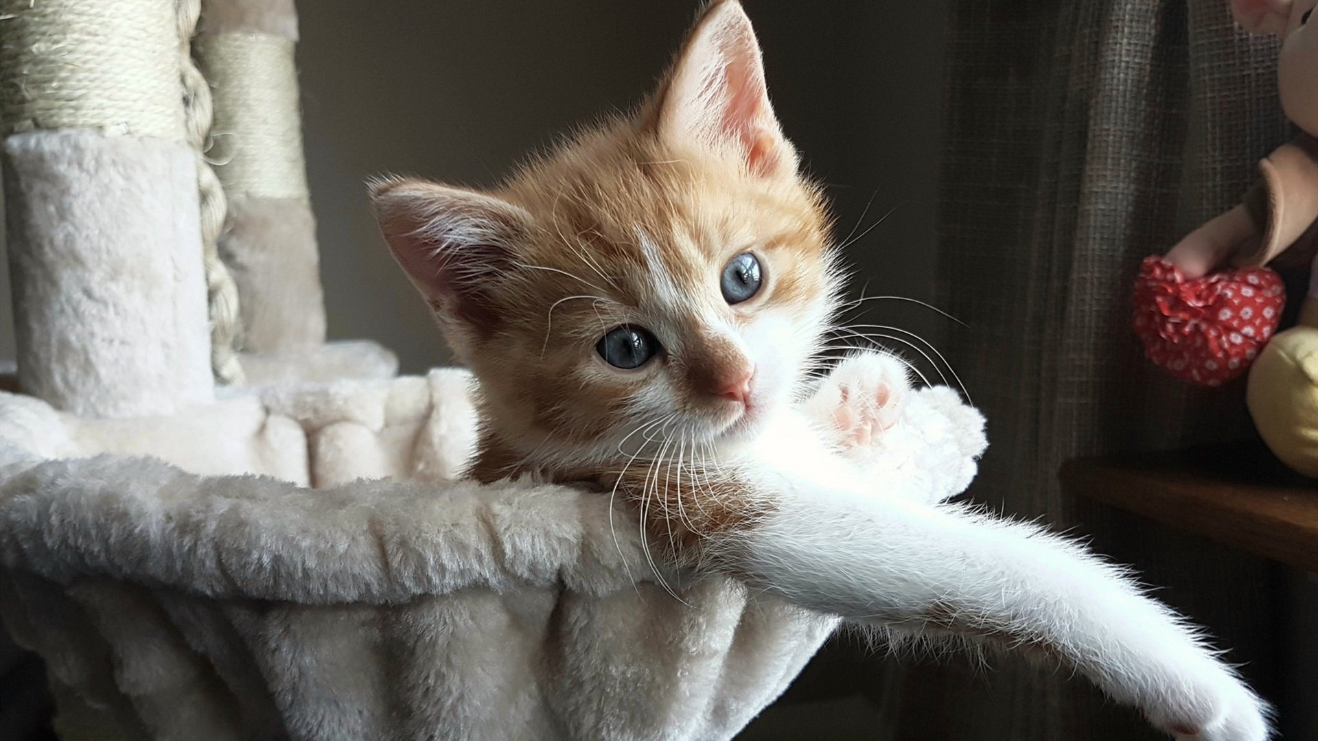 开云网站-柏林赫塔球队稳扎稳打,努力保持不败战绩,柏林赫塔保级成功