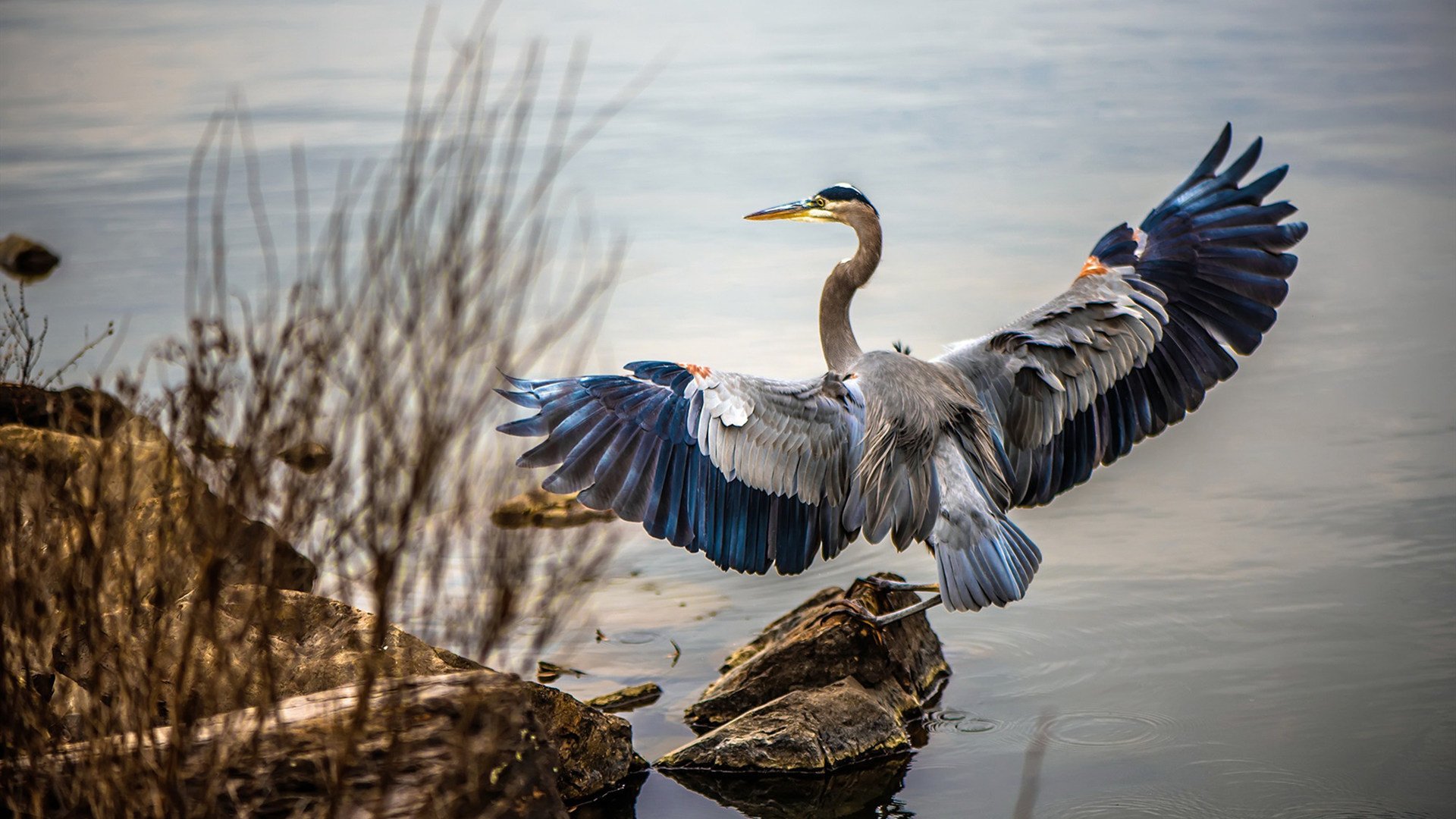 Kaiyun(中国)开云-武汉卓尔球队展现出色实力,蓄势待发,武汉卓尔队主力队员