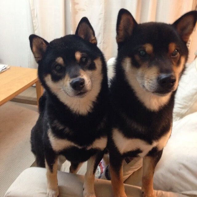 kaiyun.com-湖北队惜败长沙,遗憾止步季后赛,2021年湖北篮球联赛