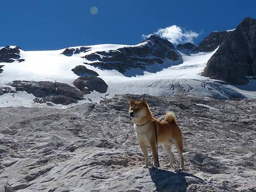 kaiyun体育app-瑞士队豪取欧国联胜利,引领全面优势,欧冠瑞士队