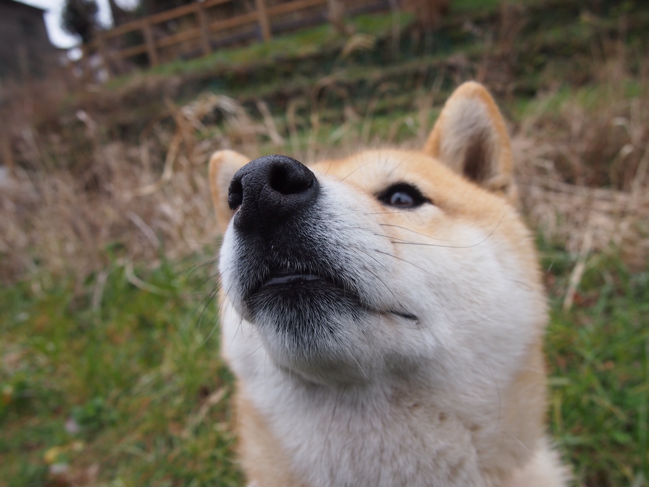 Kaiyun APP-红军在对阵埃弗顿的比赛中保持不败纪录,红军在对阵埃弗顿的比赛中保持不败纪录吗