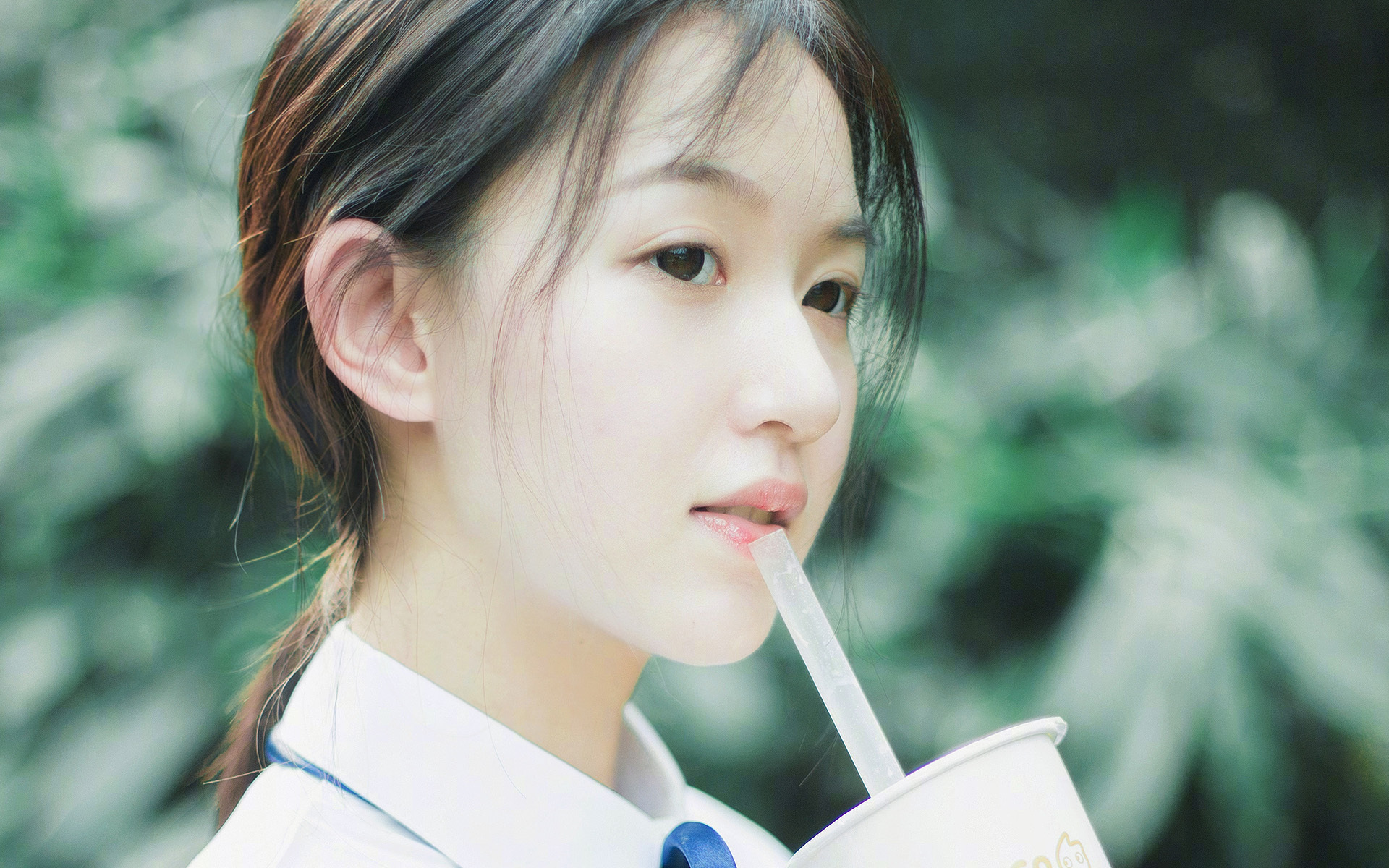 开云中国-贝内文托战胜蓝鹰，守卫主场稳定积分榜排名，贝内文托战绩500