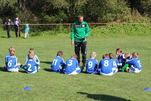 开云中国大陆-中国篮球教练员战术创新能力培养研究,篮球教练员职业素养的三大核心