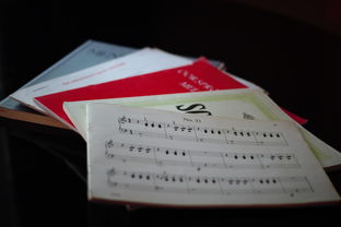 Kaiyun官方登录入口-中小学体育课程内容优化实践，中小学体育课程一体化研究