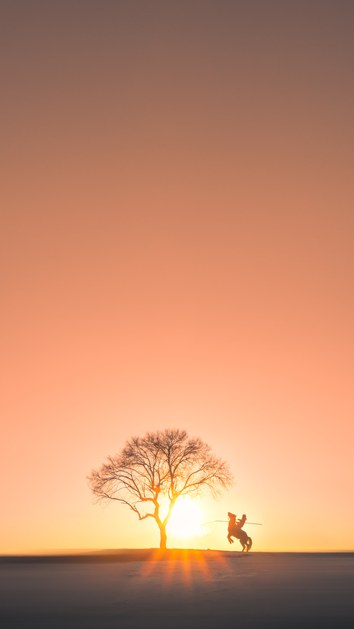 开云kaiyun-LOL赛事经典回顾视频播放量持续走高，2021年英雄联盟视频