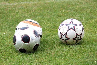 kaiyun.com-基层足球俱乐部资金短缺，基层足球俱乐部资金短缺的原因