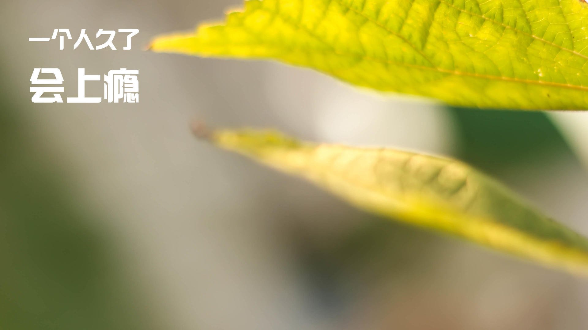 开云平台-CBA球员技能挑战赛设置分组奖励鼓励全面发展,cba技巧挑战赛2021