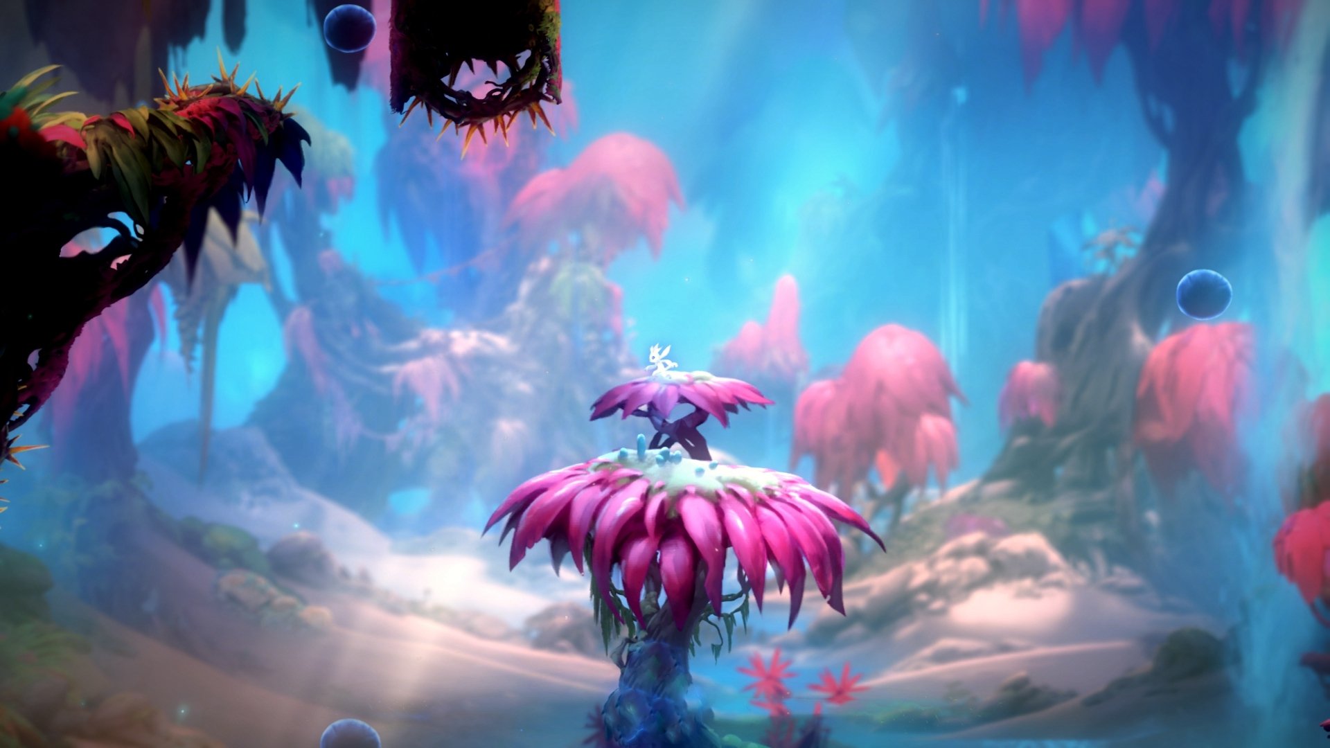 kaiyun登录入口-中超球队优化比赛前准备流程提升临场表现稳定性，中超比赛球迷入场规则