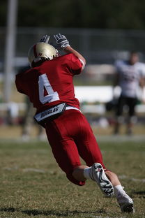 开云·体育官网APP下载-利兹联爆冷击败排名靠前的球队，士气大振