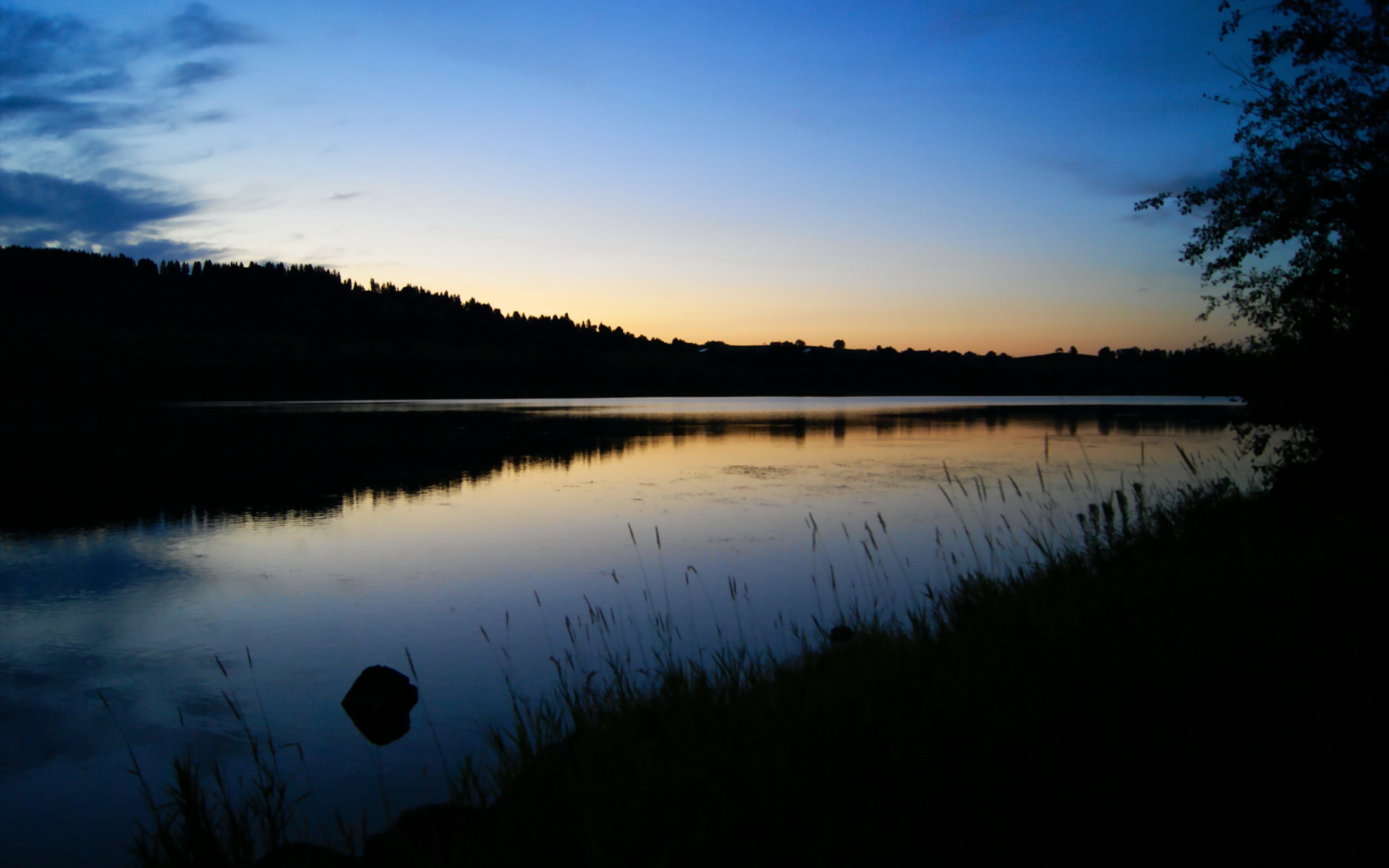 开云体育-帕金斯笑对成绩，展现冠军心态，帕金斯厉害吗