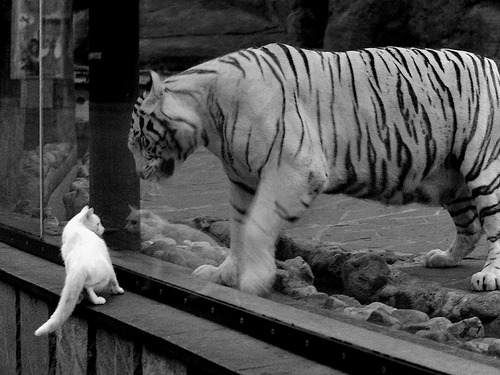 开云网页版登录入口-热火主场音响系统全面升级营造比赛氛围,热火新主场