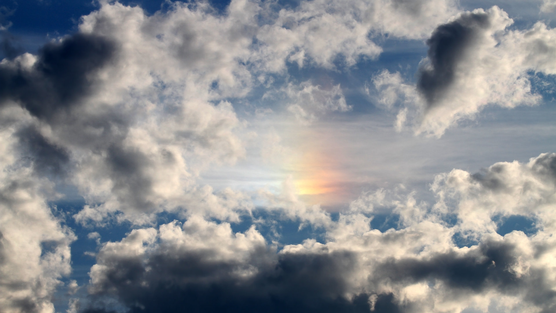 kaiyun中国官方网站-自由泳划频节奏平稳，比赛控制力佳，自由泳划水路线有3种